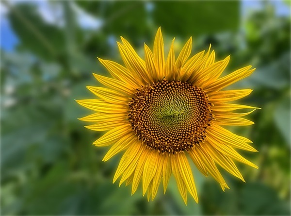 给幼儿园毕业的寄语 【幼儿园毕业的寄语一句话】