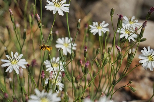 男孩十四岁生日寄语 【男孩十四周岁生日祝福语】