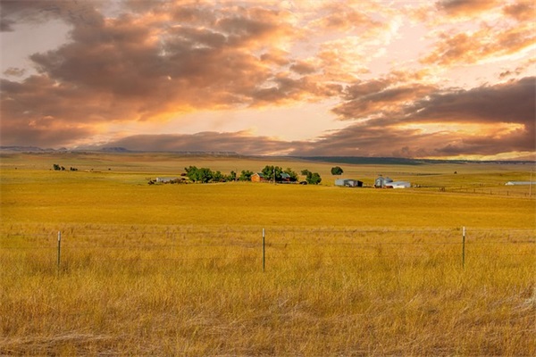 小学毕业对老师的寄语简短 【小学毕业对老师的寄语简短暖心】