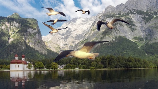 家长高考寄语简短唯美句子 【家长高考寄语简短唯美句子大全】