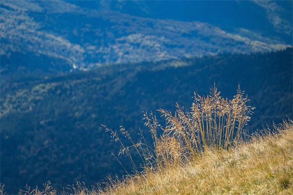 个性的青春寄语 【个性的青春寄语怎么写】