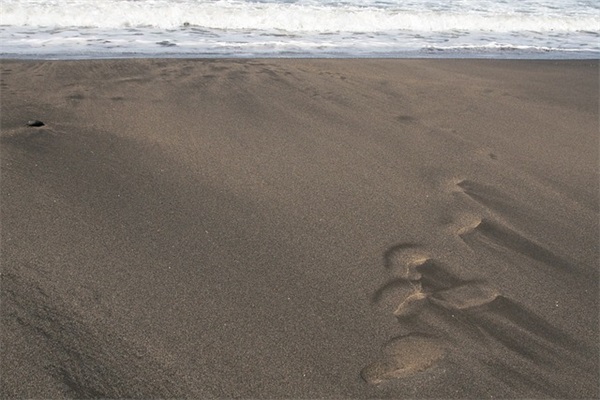 家长家长寄语 【家长家长寄语大全简短的】