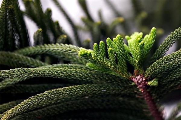 六岁宝宝寄语 【六岁宝贝寄语】