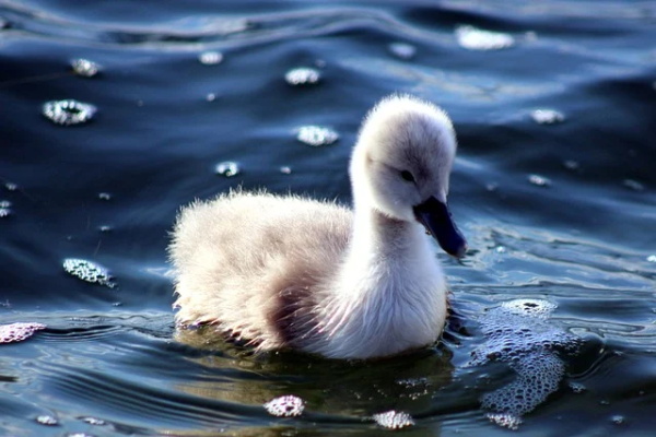 对学生说的寄语 【对学生说的寄语和希望】