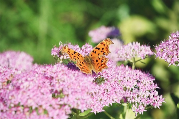 孩子你长大了家长寄语 【孩子 你长大了】