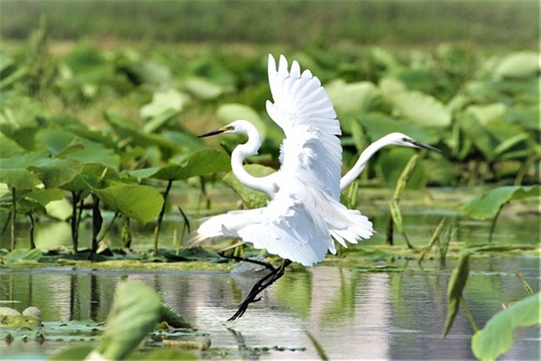 给孩子新年寄语 【给孩子新年寄语简短的初中】