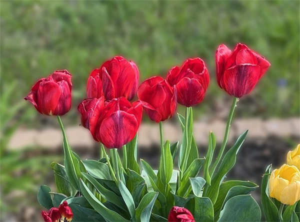 美德少年家长寄语 【美德少年家长寄语简短】