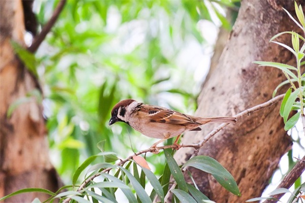 幼儿园毕业写给老师寄语简短 【幼儿园毕业幼儿给老师的寄语】
