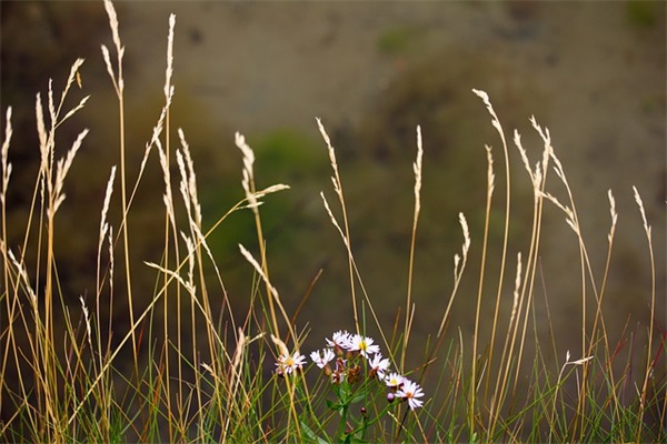 希望孩子下学期有所进步的寄语 【希望孩子学业进步的话】