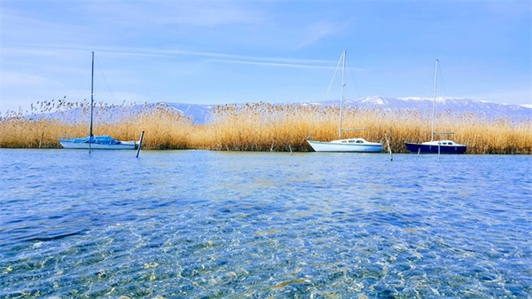 幼儿家长寄语怎么写 【幼儿家长寄语怎么写30字左右】