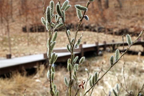 初中老师毕业寄语简短精辟句子 【初中毕业老师寄语大全】
