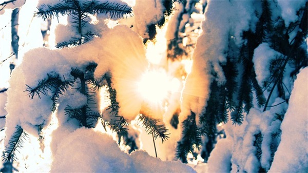 2025年三八妇女节送老师祝福短语