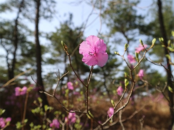 好朋友生日祝福语 最好的朋友生日祝福语