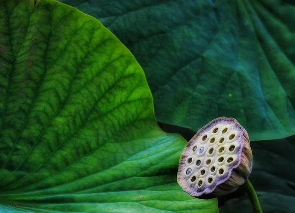 六一对女孩的祝福语56句