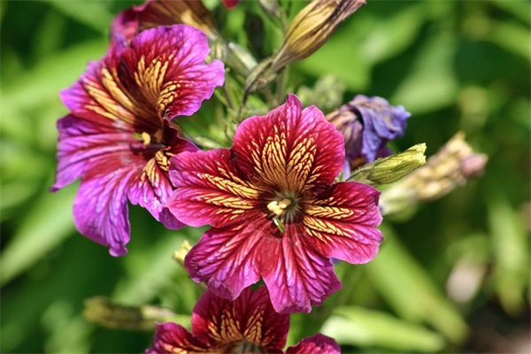 大人儿童节祝福语56句