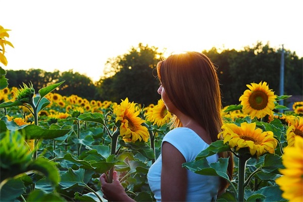 2025立夏时节微信好友群发温馨祝福语