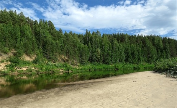 虎年春节吉祥祝福语文案(幼儿园虎年吉祥祝福语)