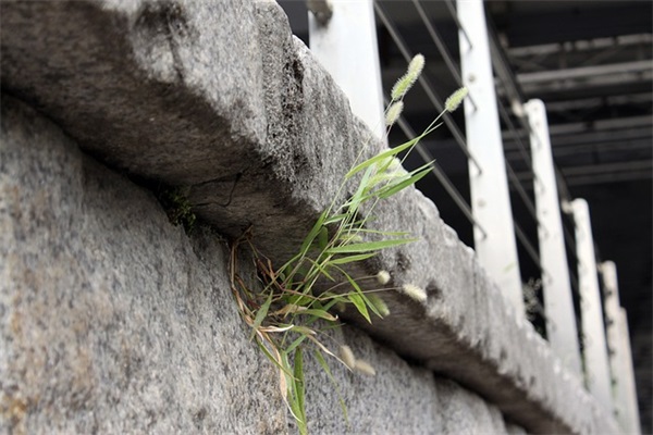 新春搞笑祝福语64句