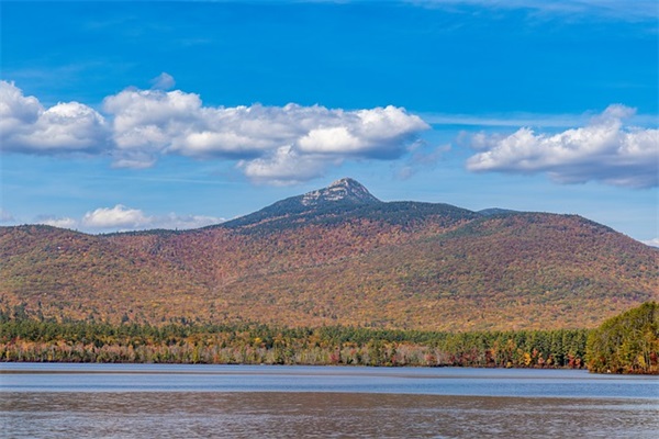 搞笑元旦祝福语大全60句