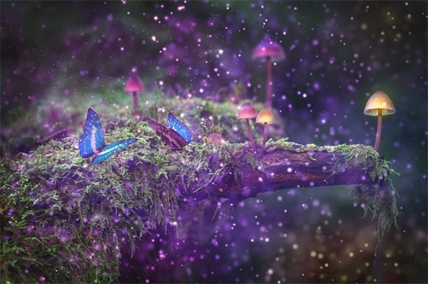 新年祝学生进步祝福语