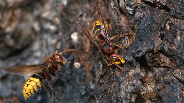 中秋祝福语逗比62句