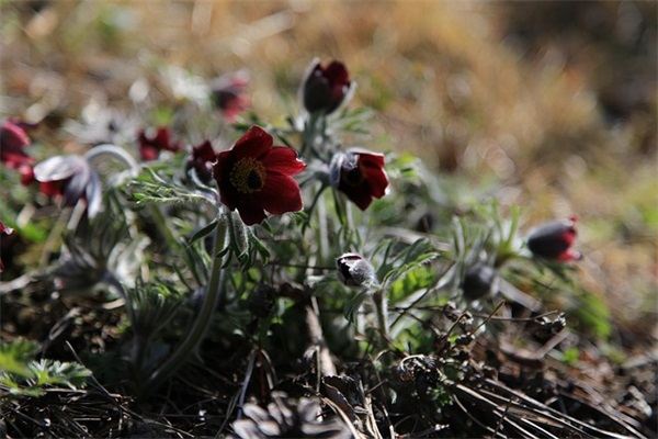 中秋节个性祝福语2025