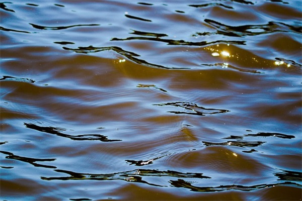 7岁宝贝生日祝福语81句