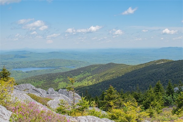 2025婚礼幽默祝福语大全 2025年祝福打油诗