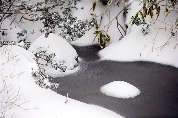 周五晚上祝福语63句