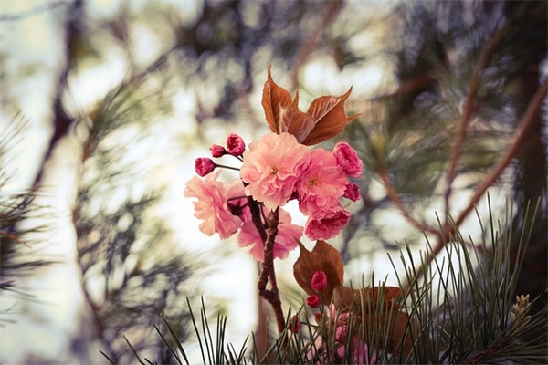 大学生祝福语 给大学生的祝福语