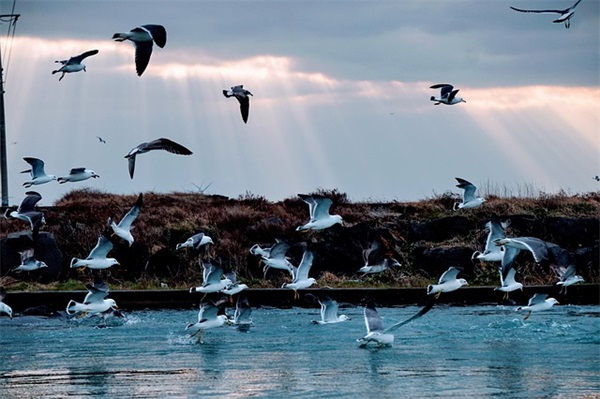 灯饰行业新年祝福语63句
