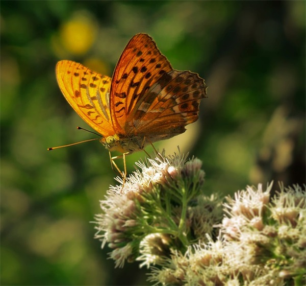工程企业标语97句