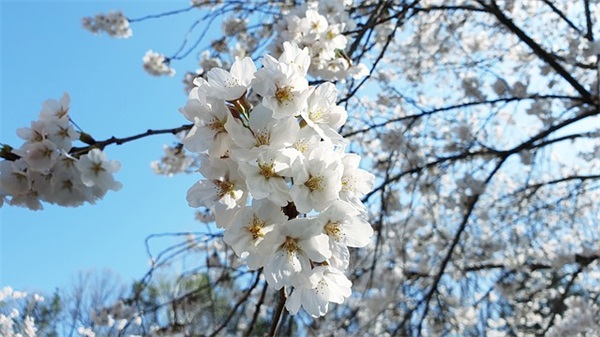 矿山安全标语大全94句