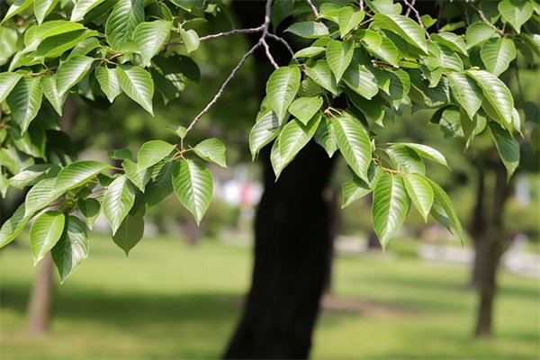 学校教学楼标语大全106句