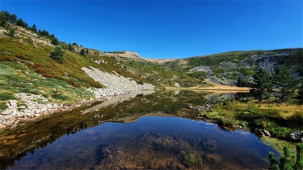 安全质量标语大全100句