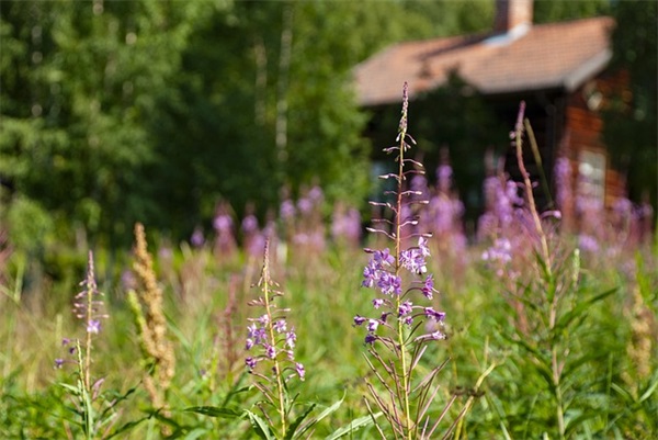 高中运动会口号16字84句