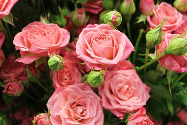 商场企业文化标语97句