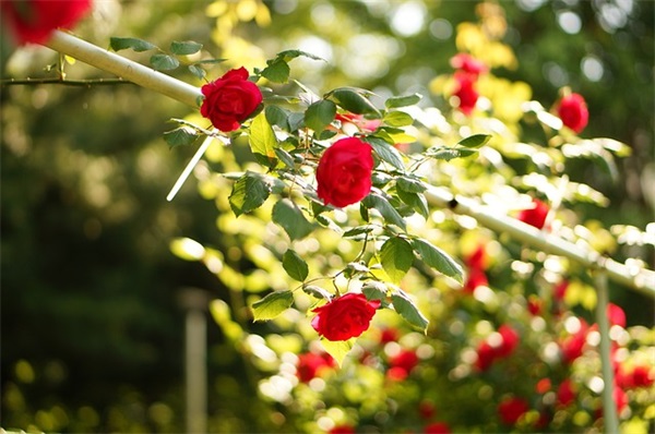 2025年消防安全宣传标语100句