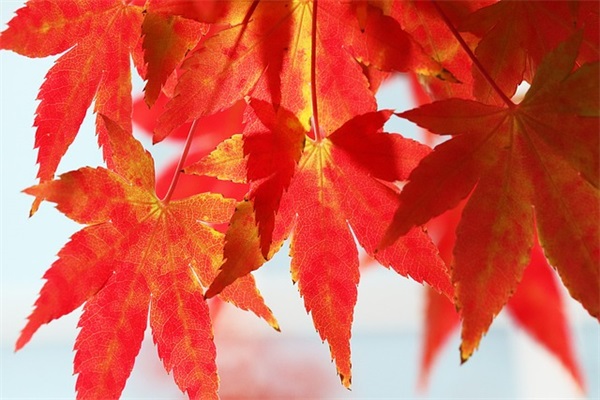 企业产品标语 企业生产安全标语