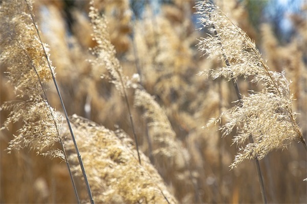 关于交通安全的小标语102句