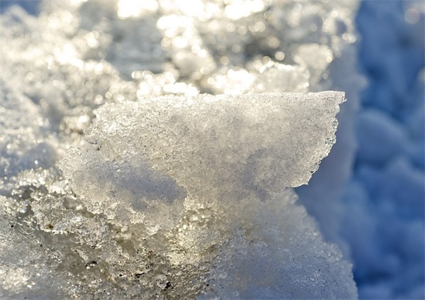 光盘行动的简单宣传标语最全