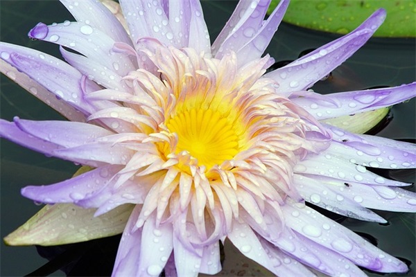 经典的学校门口标语106句