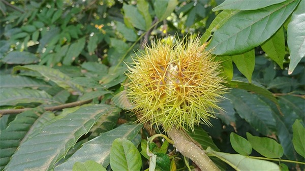 2025销售团队口号大全