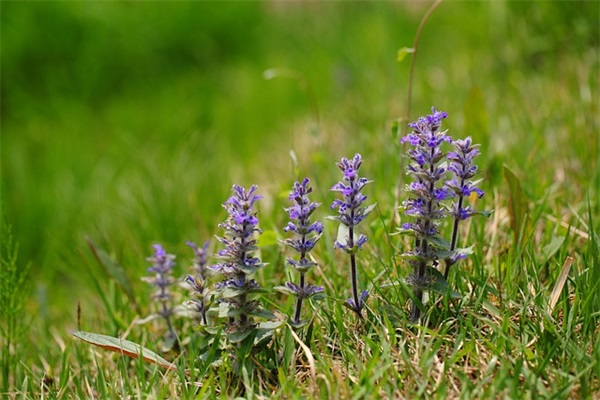 安全生产质量口号标语94句