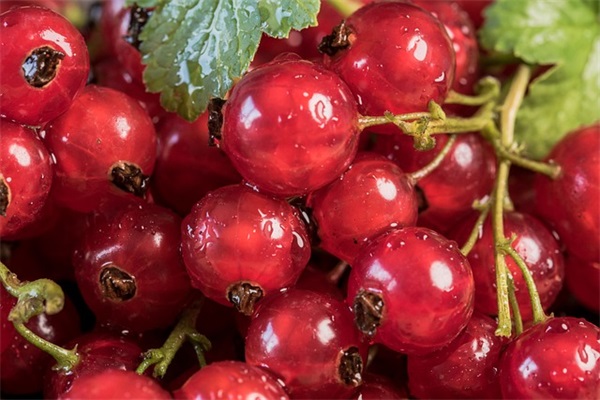 提倡勤俭节约宣传口号2025最新