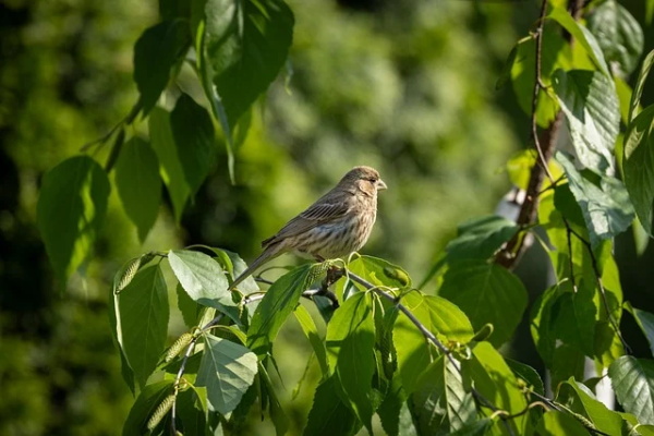 学校艺术节标语107句