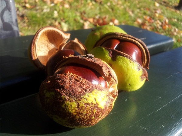 节约水环保标语99句