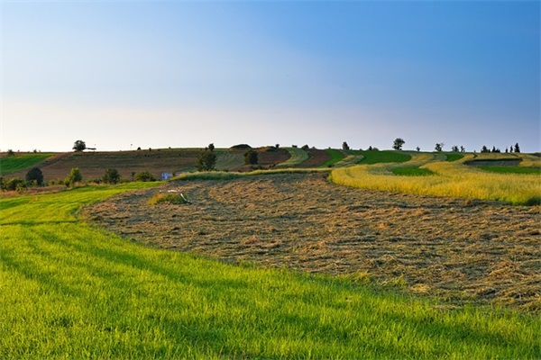 20251年秋季运动会加油宣传标语