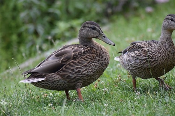 企业上墙标语101句