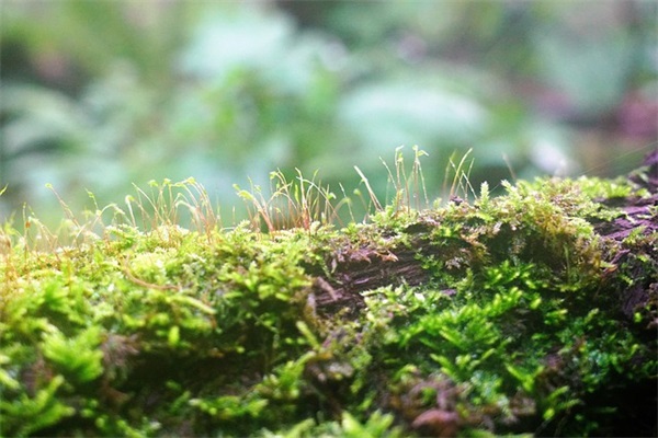 安全责任标语 安全责任意识标语